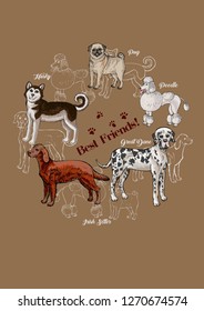  Poster Dogs sketches Background. Dogs of different breeds. Hand drawn vector illustration