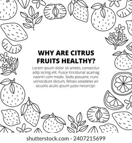 Poster with doodle outline citrus fruits, flowers, leaves isolated on white background. Perfect for articles, web, posts, etc.