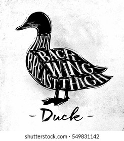 Poster duck cutting scheme lettering neck, back, wing, breast, thigh in vintage style drawing on dirty paper background