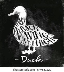 Poster duck cutting scheme lettering neck, back, wing, breast, thigh in vintage style drawing with chalk on chalkboard background