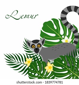 A poster with the face of the lemur and tropical palm leaves. Vector illustration