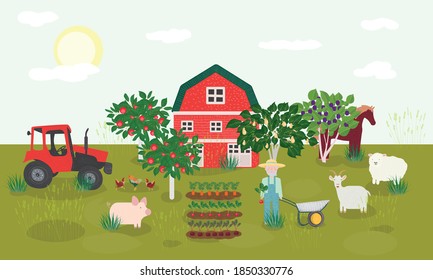 poster with farm elements, vector image of a farm