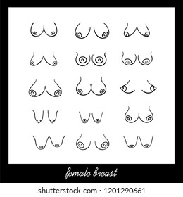 pics of female breast types Pics of female breast types