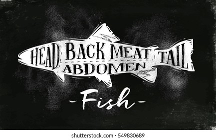 Poster fish cutting scheme lettering head, back meat, abdomen, tail in vintage style drawing with chalk on chalkboard background