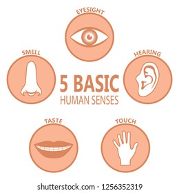 Poster five basic human feelings. Set icons the five senses of human perception. Eyesight, hearing, smell, taste, touch. Vector illustration