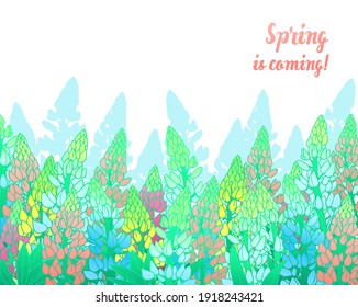Poster with Flowers on a white background, botanical illustration, lupins rose and blue flowers