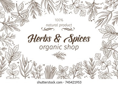Poster frame template with hand drawn sketch herbs and spices for farmers market menu design. Vector illustration page decoration culinary herbs in ink retro style.