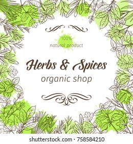 Poster frame template with hand drawn sketch herbs and spices for farmers market menu design. Vector illustration page decoration culinary herbs in ink retro style.