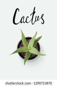 poster fresh green home decor art house plant the view from the top cactus Aloe Vera in a pot with lettering