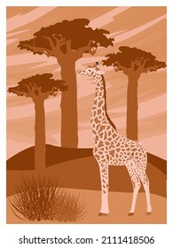 Poster with a giraffe in the African savannah. Dry grass and baobabs. Abstract vector landscape