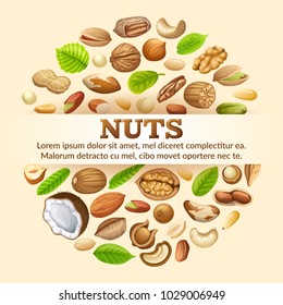 Poster grains  of cashew and brazilian nut, coconut and cedar, hazelnut and cashew, almonds and walnut, nutmeg and pecan, peanut and macadamia, pistachio.