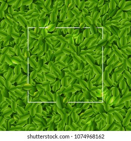 Poster With Green Leaves Background , Vector Illustration