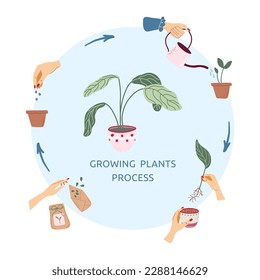 
Poster for growing plants process with hands, seeds, pot, sprout and plant in the middle. Home gardening and plants care concept. Vector infographic.