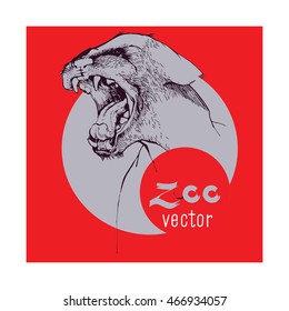 Poster hand drawing angry wild Panther. Vector image on a bright background