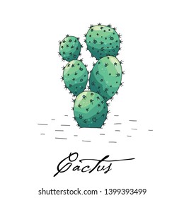 Poster with hand drawn cactus isolate on a white background. Vector icons in sketch style. Hand drawn objects