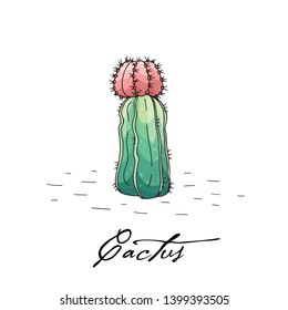 Poster with hand drawn cactus isolate on a white background. Vector icons in sketch style. Hand drawn objects