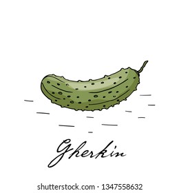 Poster with hand drawn gherkin isolate on a white background.