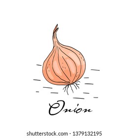 Poster with hand drawn onion isolate on a white background. Vector icons in sketch style. Hand drawn objects