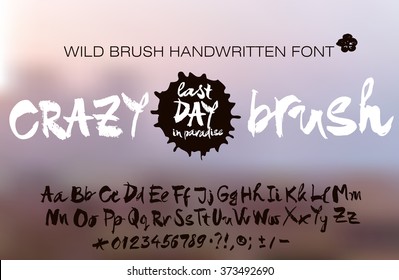 Poster for hand drawn script brush font. Vector font letters set on gradient mesh background.