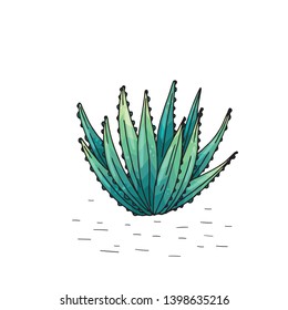 Poster with hand drawn succulents isolate on a white background. Vector icons in sketch style. Hand drawn objects