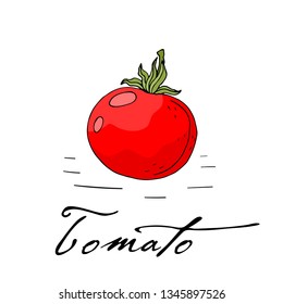 Poster with hand drawn tomato isolate on a white background. Vector icons in sketch style. Hand drawn objects
