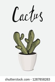 poster home garden natural plant compact green mexican cactus potted with handdrawn lettering