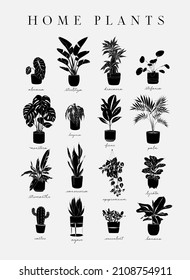 Poster home plants in linear style alocasia, strelitzia, dracaena, stefania, monster, begonia, ficus, palm, stromanthe, epipremnum, lyrata, cactus, agave, succulent, banana drawing with black