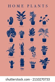Poster home plants in linear style alocasia, strelitzia, dracaena, stefania, monster, begonia, ficus, palm, stromanthe, epipremnum, lyrata, cactus, agave, succulent, banana on coral background