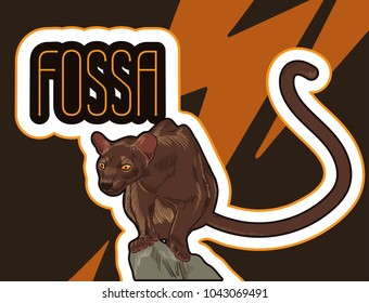 Poster with hunting fossa. Madagascar predatory animal. Vector illustration. Danger concept cartoon image.