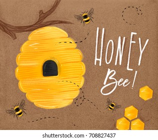 Poster illustrated beehive, honeycombs lettering honey bee drawing on craft