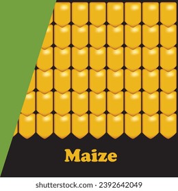 Poster illustrating the common agricultural crop Maize