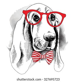 Poster with image of a Basset Hound dog with glasses and tie. Vector illustration.