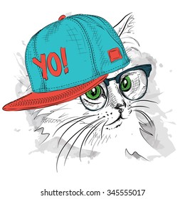 The poster with the image cat portrait in hip-hop hat. Vector illustration.