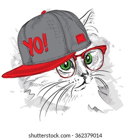 The poster with the image cat portrait in hip-hop hat. Vector illustration.