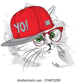 The poster with the image cat portrait in hip-hop hat. Vector illustration.