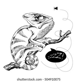 Poster with image of a Chameleon on a branch with fly. Vector black and white  illustration.