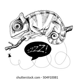 Poster with image of a Chameleon on a branch with fly. Vector black and white  illustration.