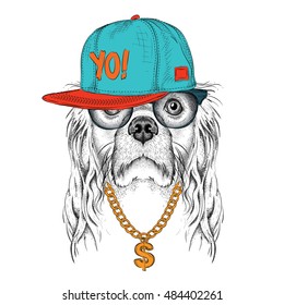The poster with the image of Cocker Spaniel portrait in hip-hop hat. Vector illustration.