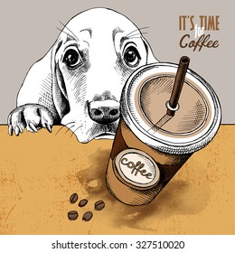 Poster with image of coffee in plastic cup and portrait of a Basset Hound dog. Vector illustration.