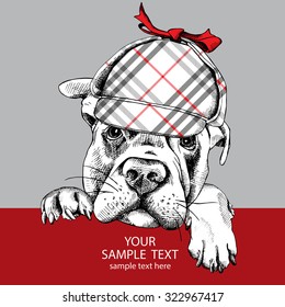 Poster with image of a dog Labrador in  checkered deerstalker hat. Vector illustration.