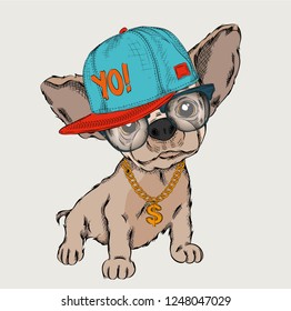 Poster with the image of a dog portrait in hip-hop hat. Vector illustration.