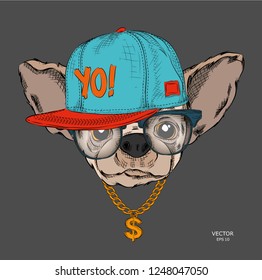 Poster with the image of a dog portrait in hip-hop hat. Vector illustration.
