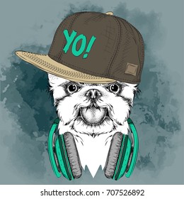 The poster with the image dog portrait in hip-hop hat. Vector illustration.