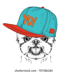 The poster with the image dog portrait in hip-hop hat. Yorkshire Terrier. Vector illustration.
