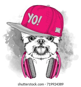 El afiche con la imagen del perro retrato en sombrero de hip-hop y con auriculares. Ilustración vectorial.