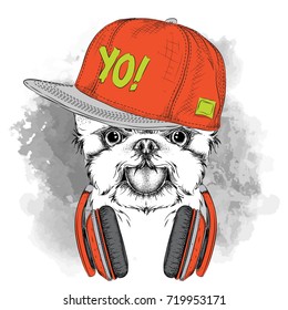 The poster with the image dog portrait in hip-hop hat adn with headphones. Vector illustration.