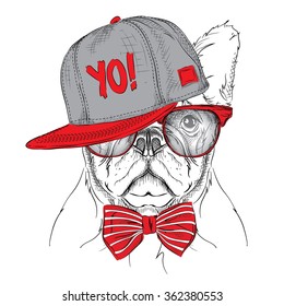 The poster with the image dog portrait in red and grey hip-hop hat. Vector illustration.