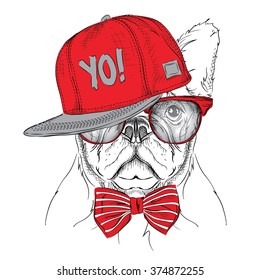 The poster with the image dog portrait in red and grey hip-hop hat. Vector illustration.