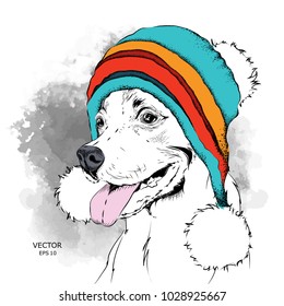 The poster with the image dog portrait in winter hat. Vector illustration.