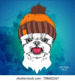 The poster with the image dog portrait in winter hat. Vector illustration.